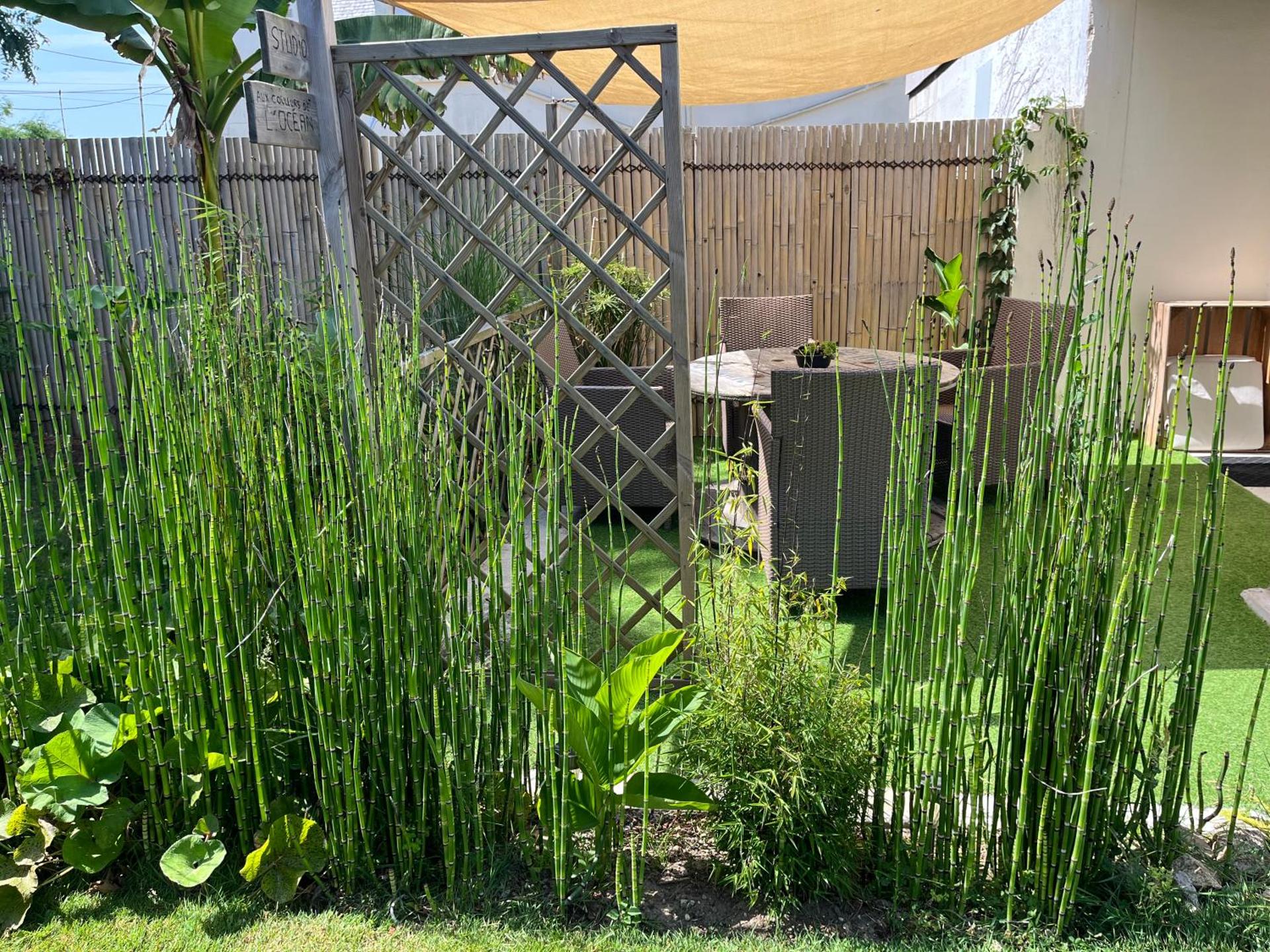 Studio au couleur de l’océan