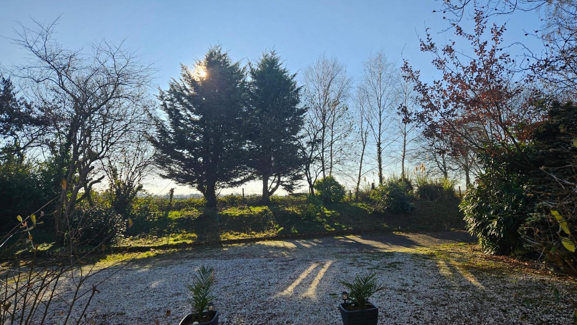 The Lions Den - La Loge Guest House