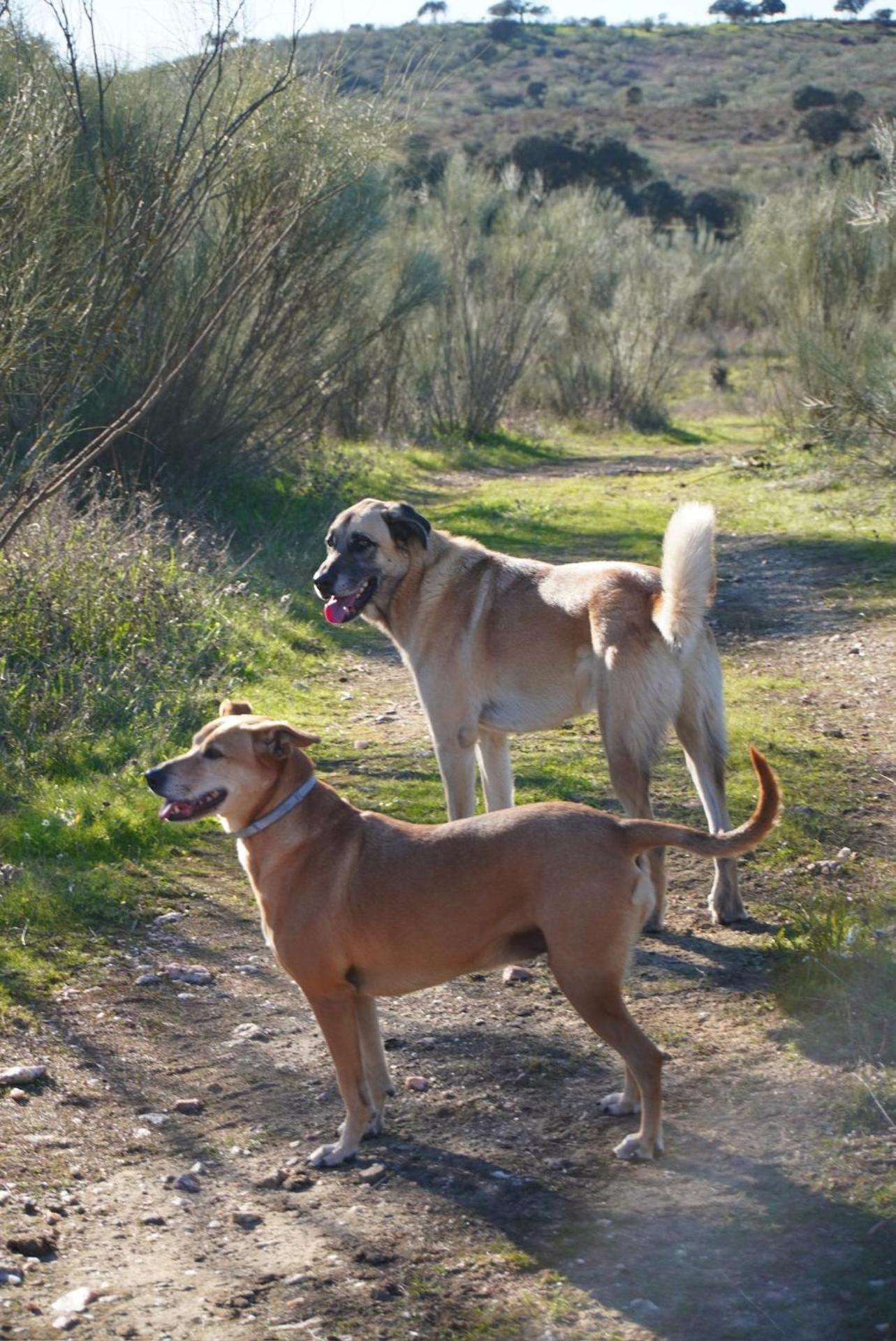 Herdade da Yucca - Retreat & Spa