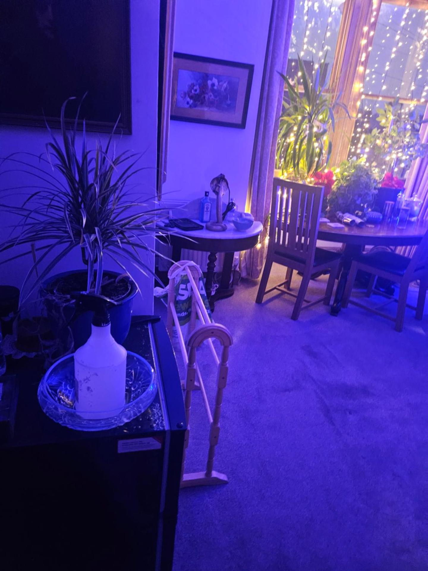 The blue international inn