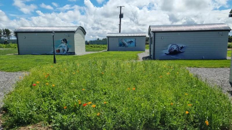 Easkey Glamping Village