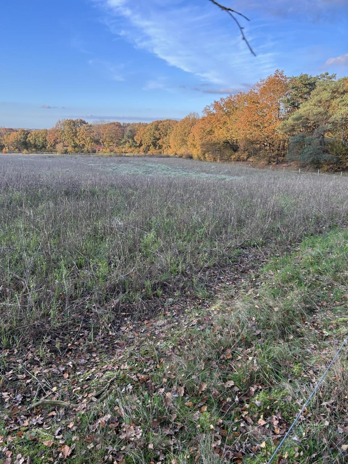 Vakantiehuisje in Lunteren aan de rand van het bos