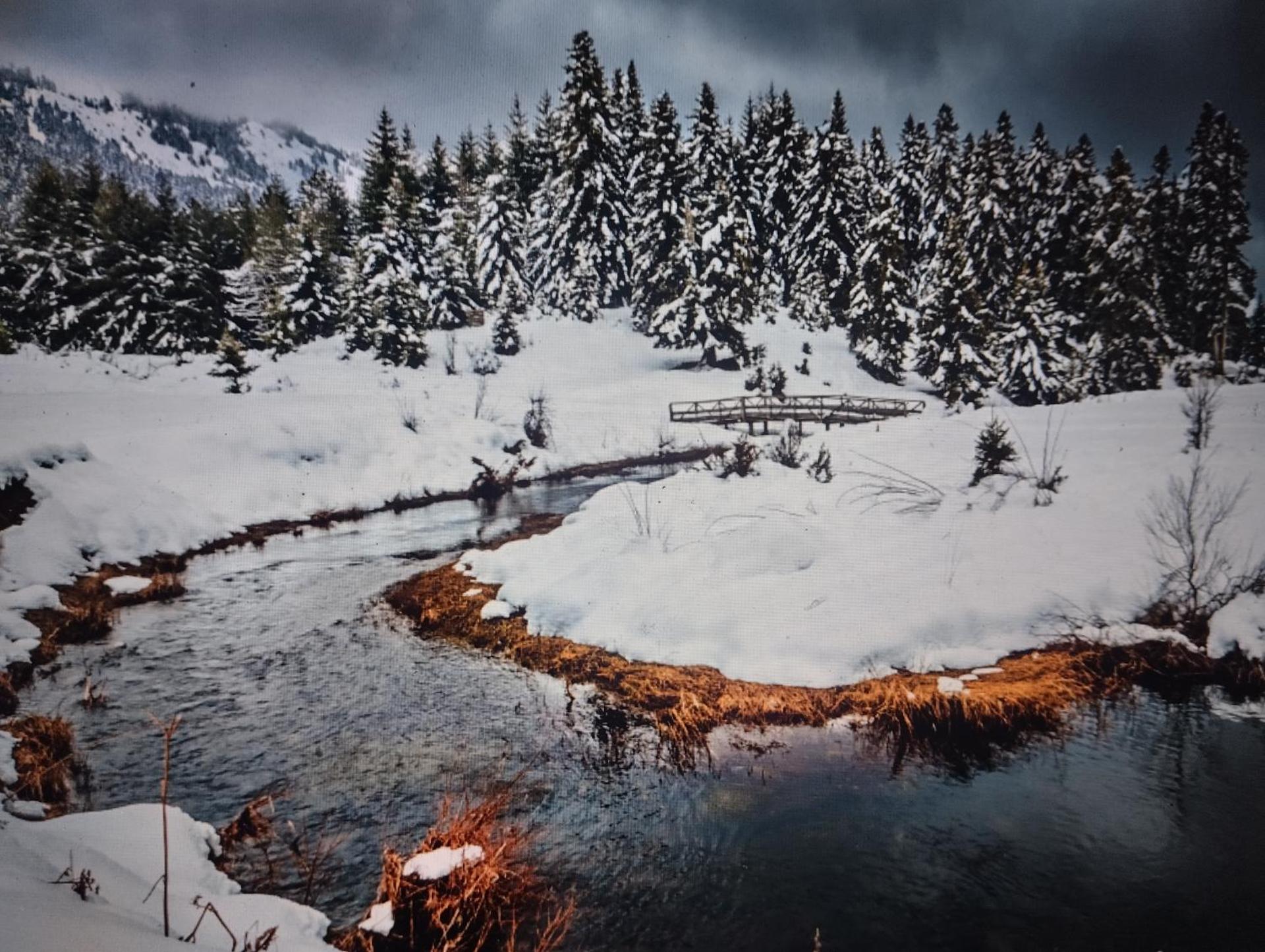 ΑΡΧΟΝΤΙΚΌ Μουζάκι ΚΑΡΔΙΤΣΑ ΤΡΙΚΑΛΑ