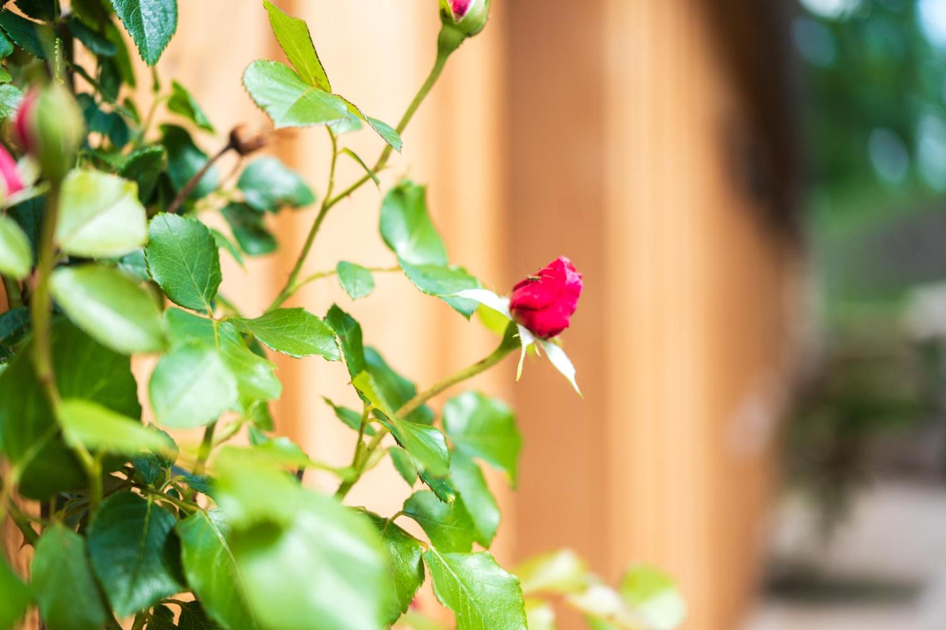 Le Domaine de Richebourg - Pierres d'Histoire