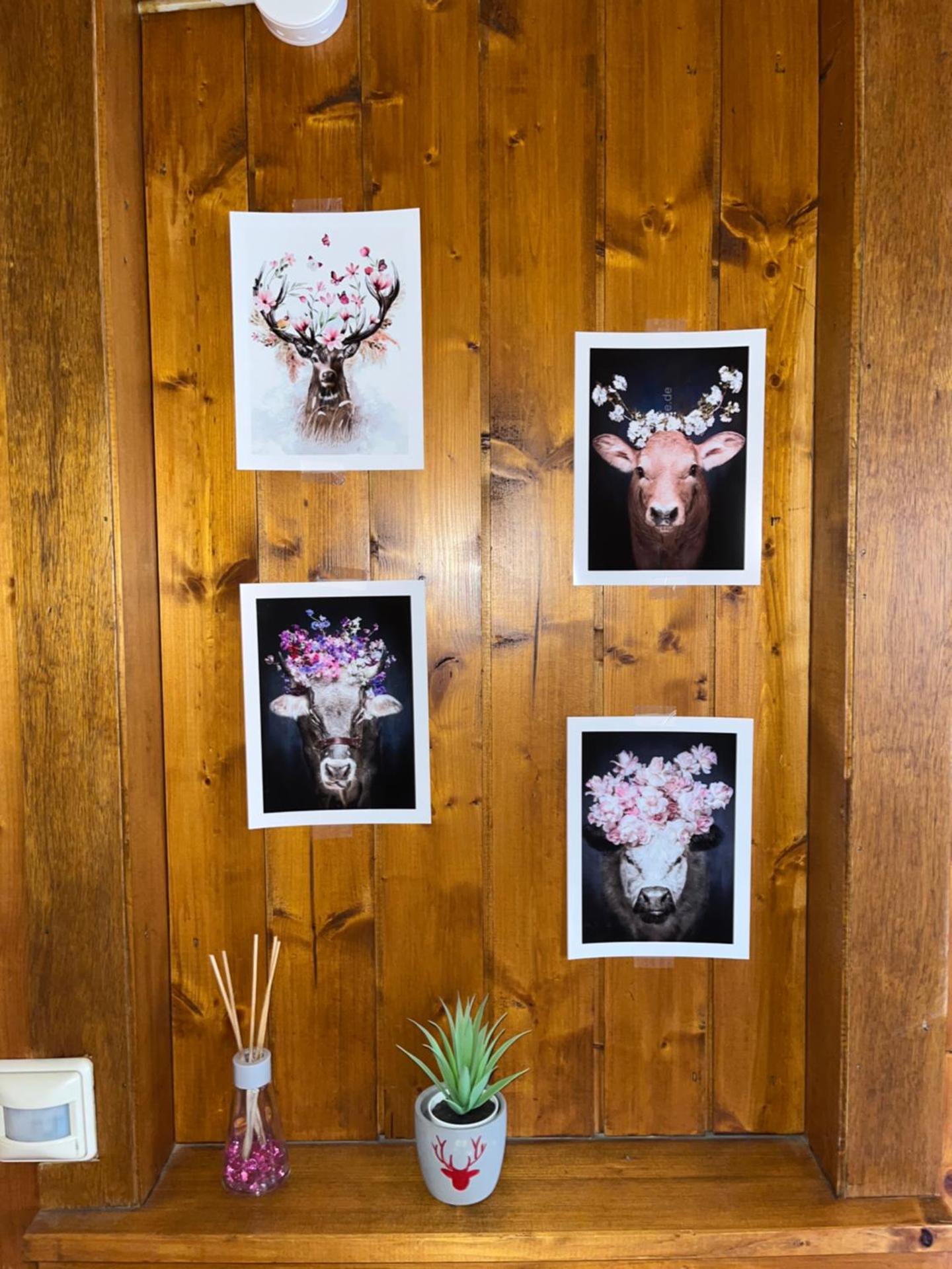 Ferienwohnung im Herzen Tribergs