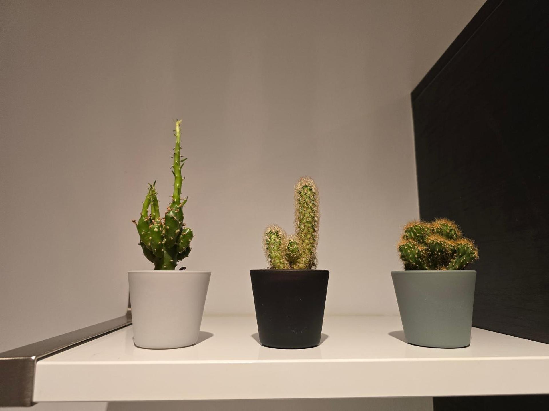 Loft Apartment Horrem