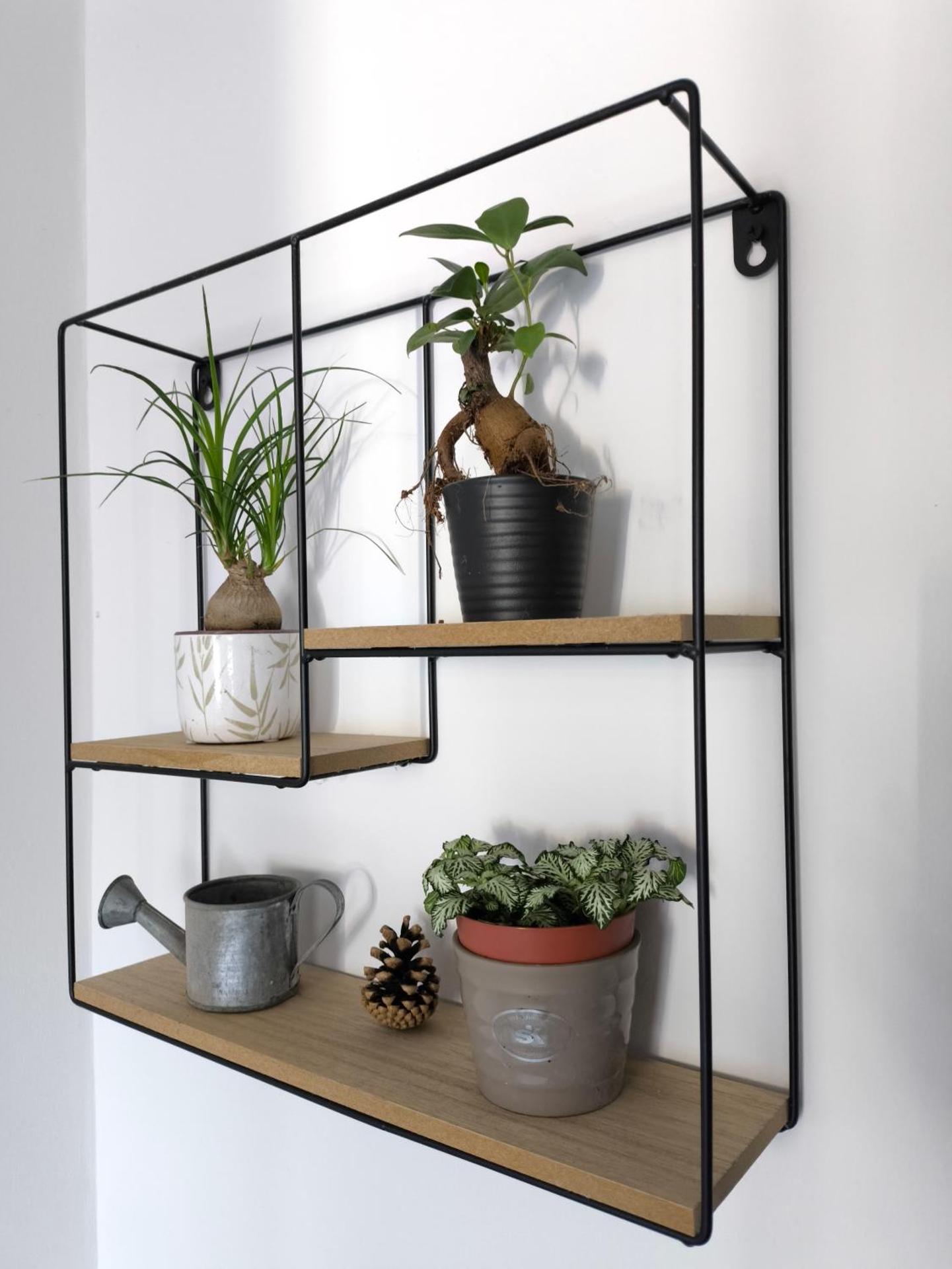 FeWo Antweiler Unterburg