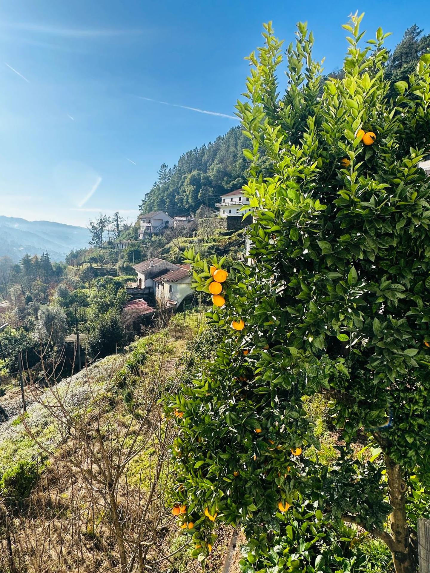 Mountain View Guest House,Geres