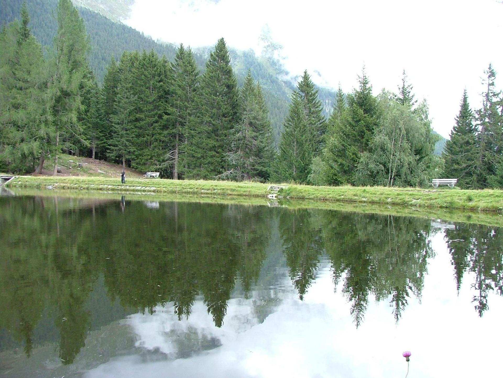 Wirtshaus zum Wiesejaggl