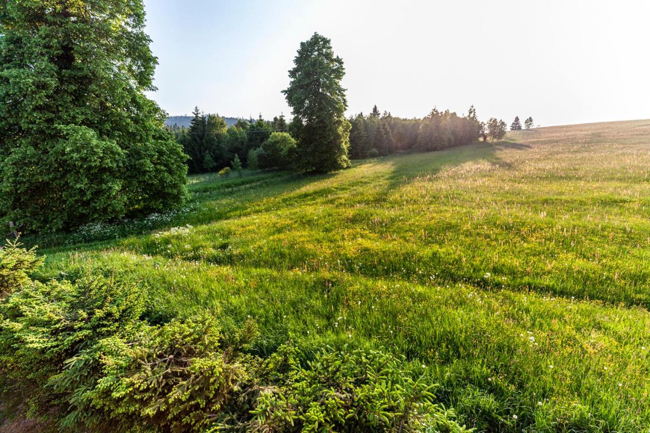 Michałówka Pokoje i Domki
