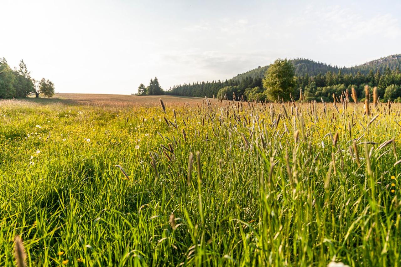 Michałówka Pokoje i Domki