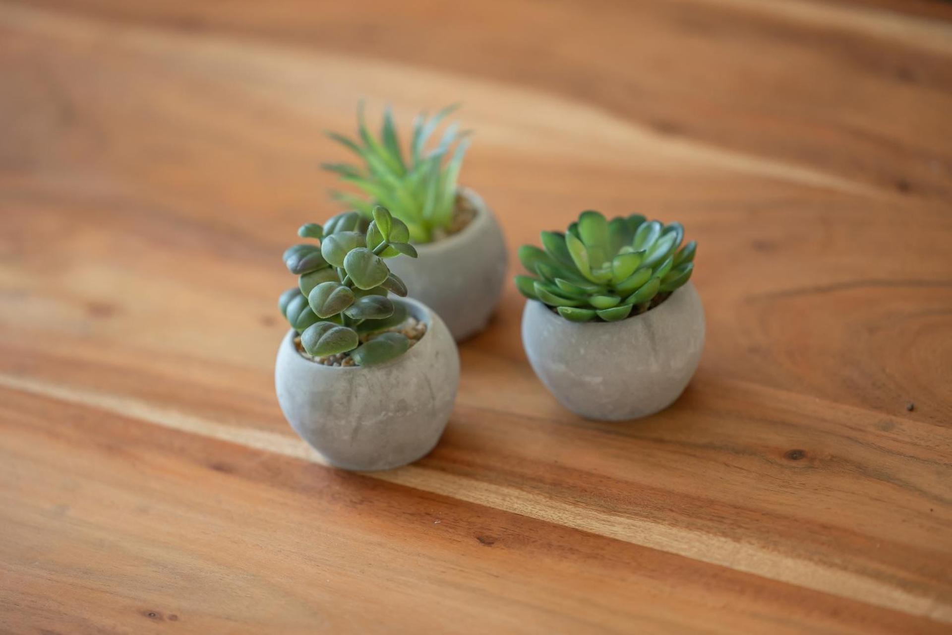 Alte Fischfabrik InselGlück