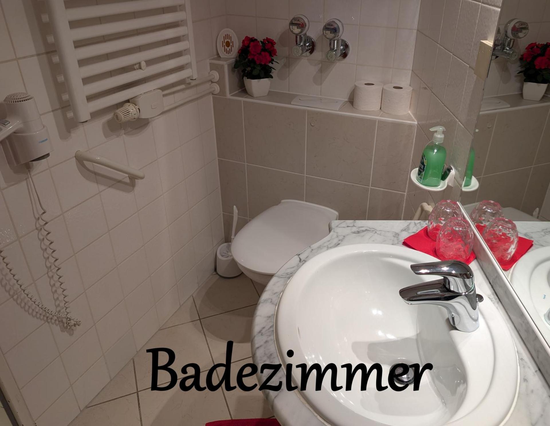 Apartment "Waldrand" mit Balkon und Pool - Renoviert 2026