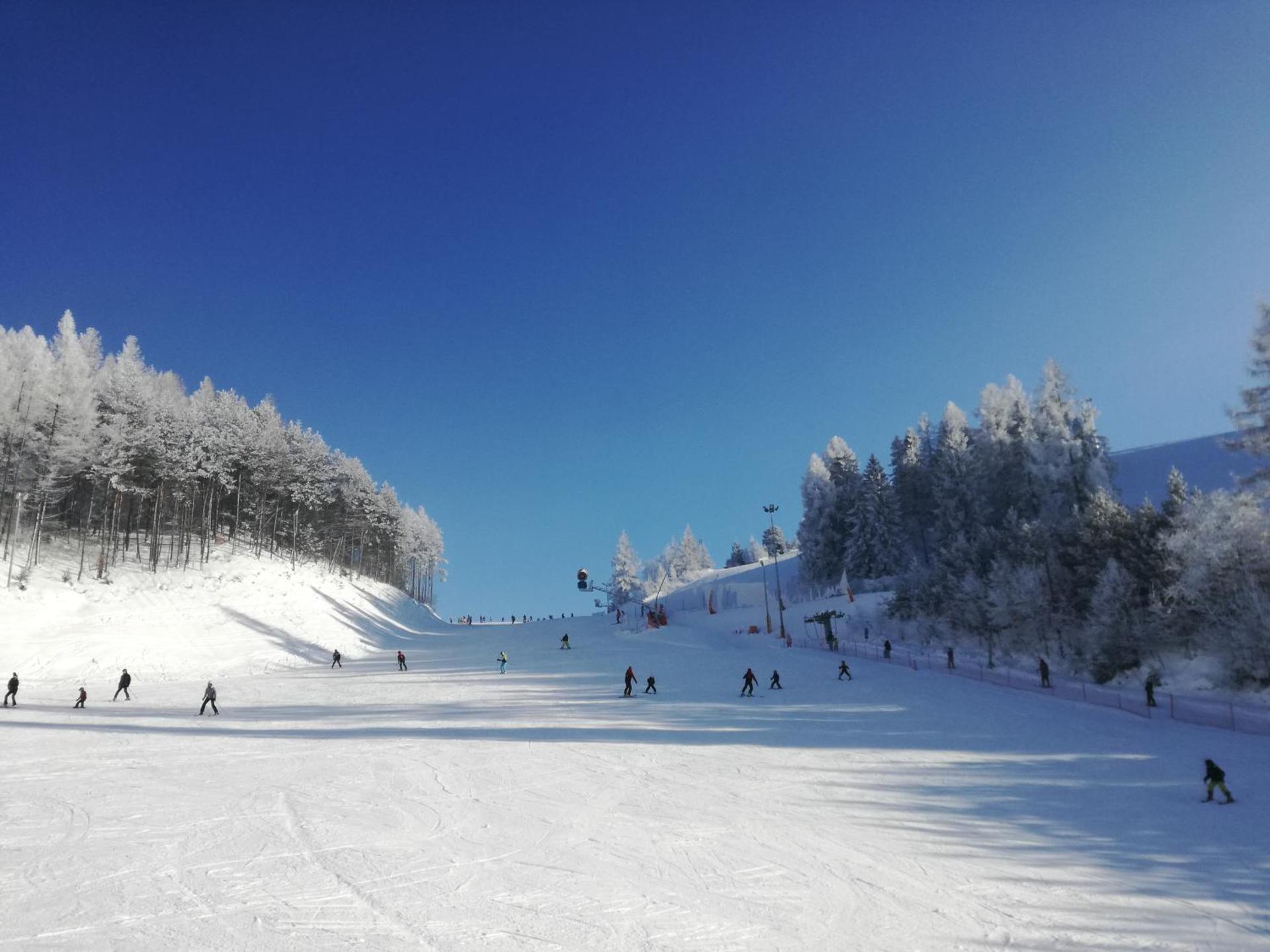 Mizerna Cicha Noclegi Blisko Natury