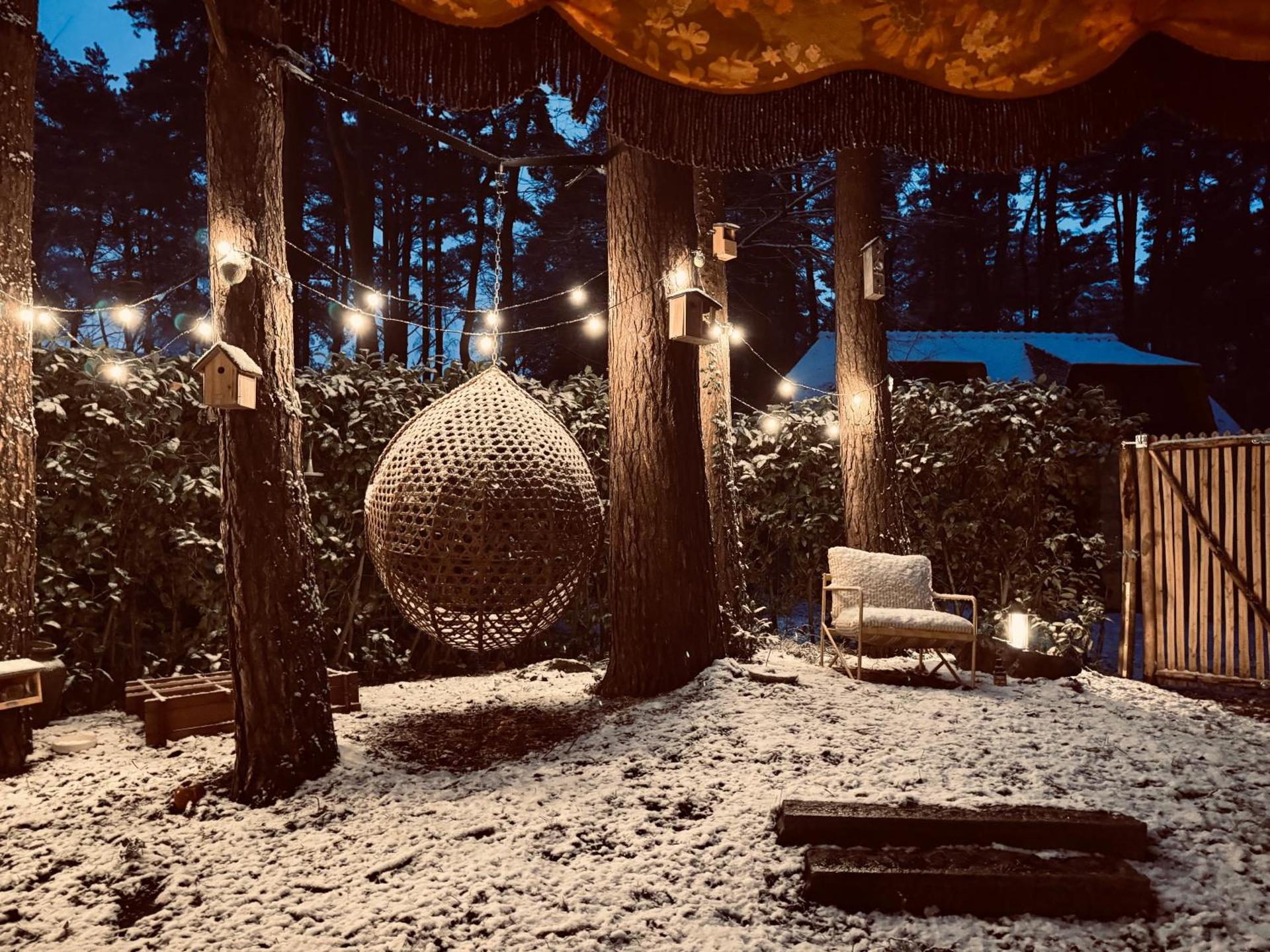 Five Trees Forest Home