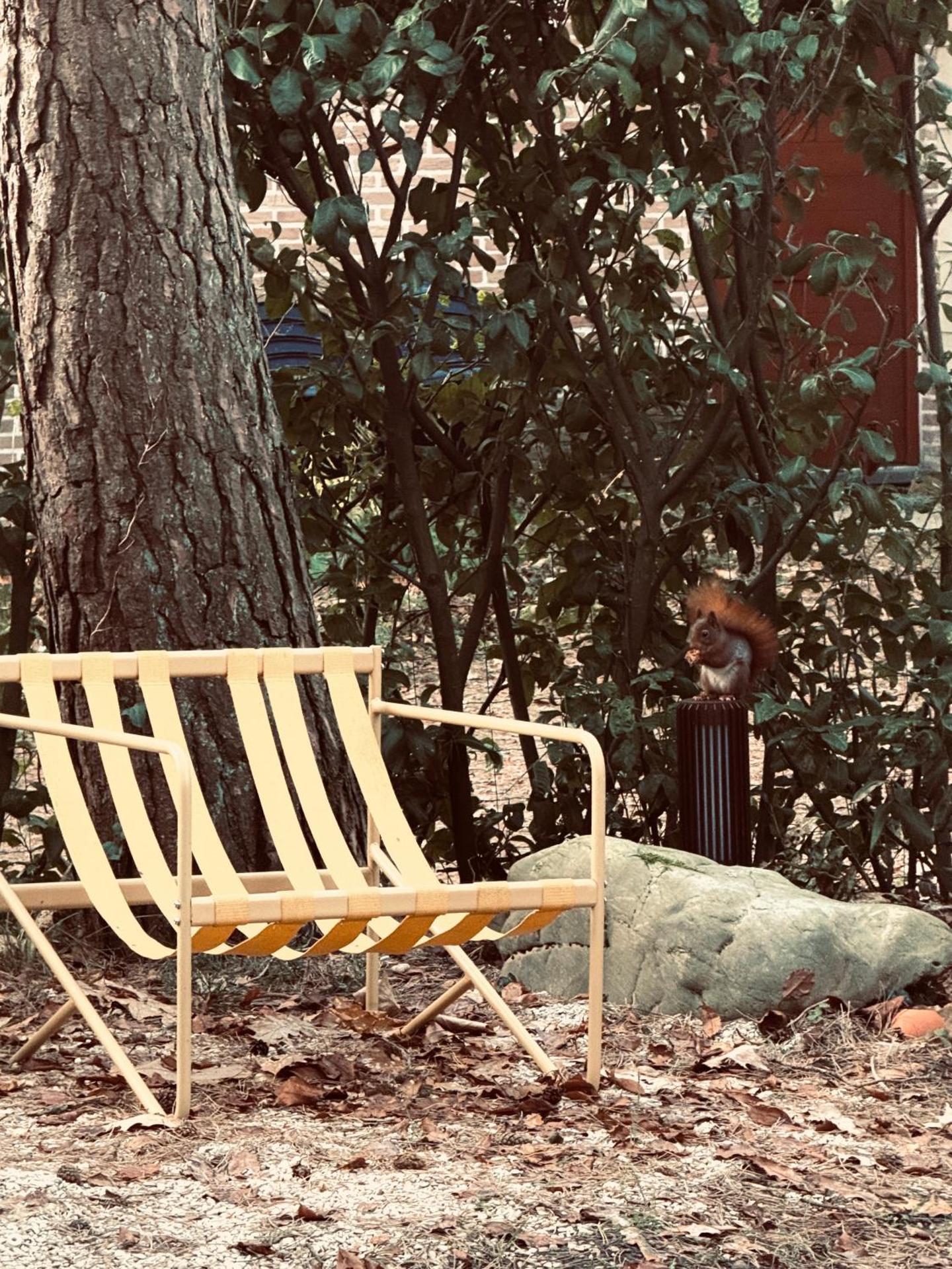 Five Trees Forest Home