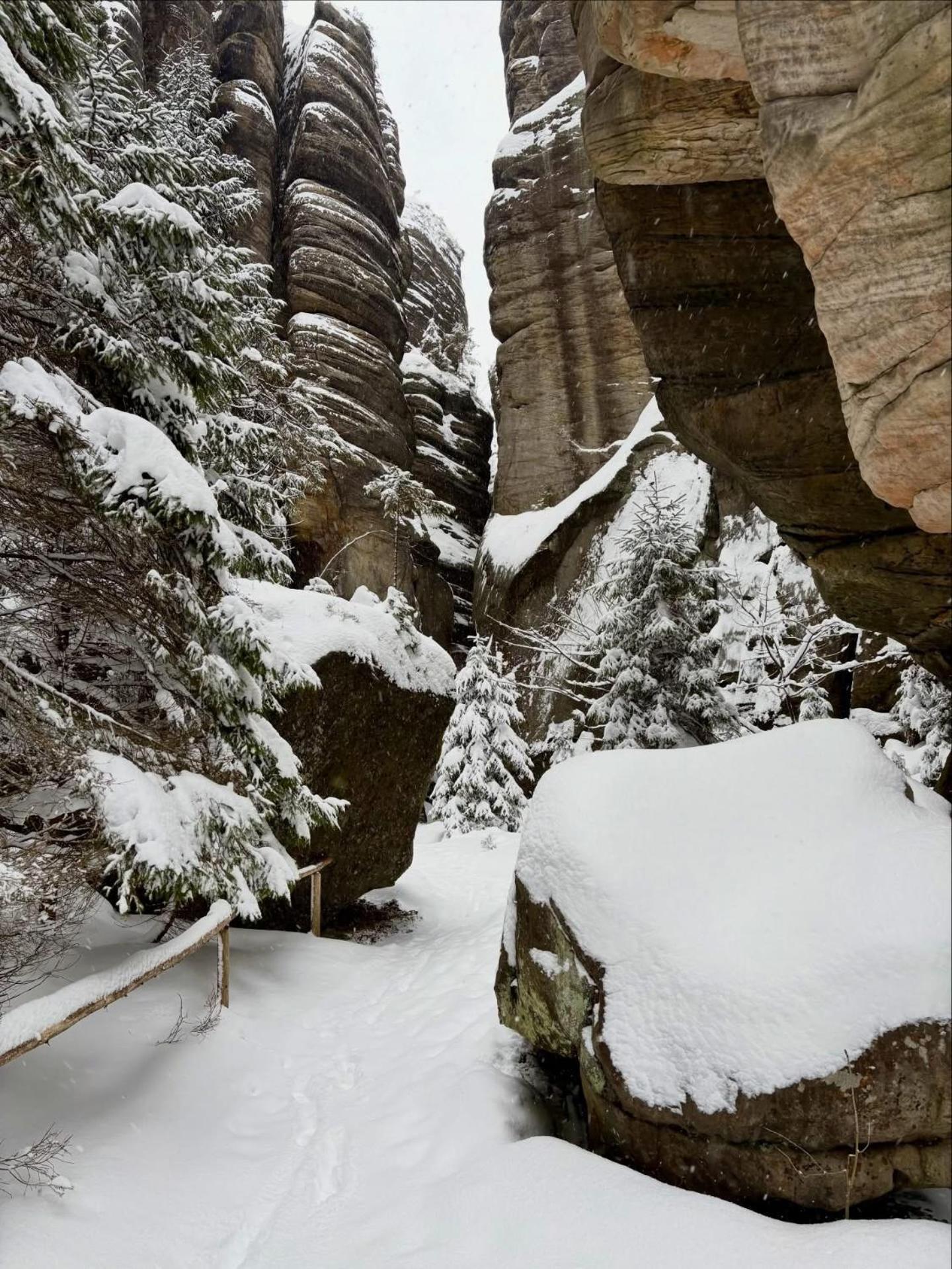 Apartment nad Metují