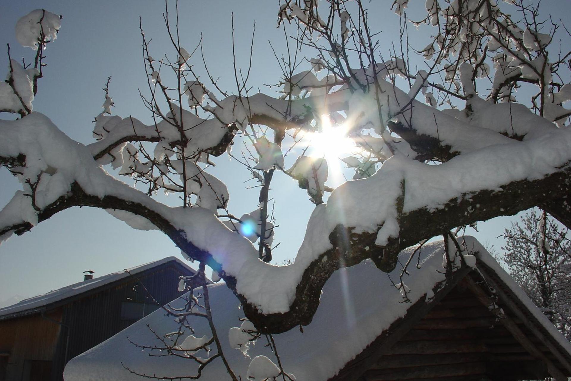 Ferienbauernhof Schneider