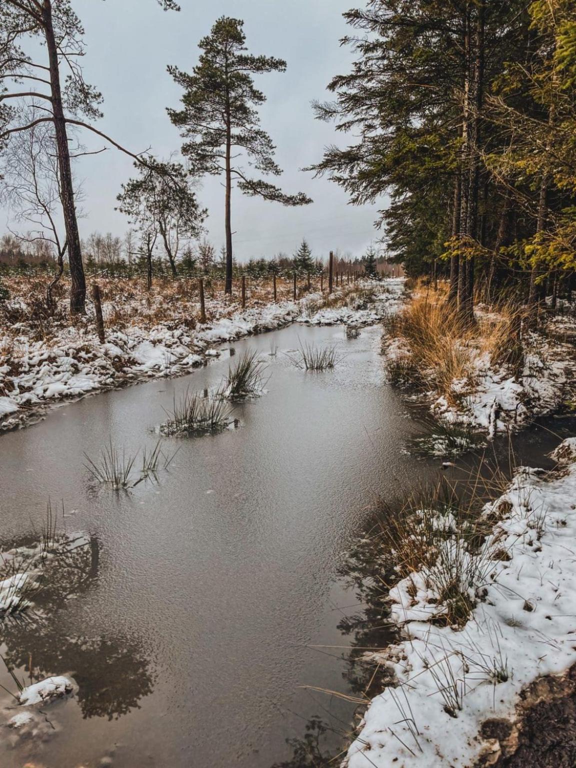 Le Clos du Cerf - Silence & nature