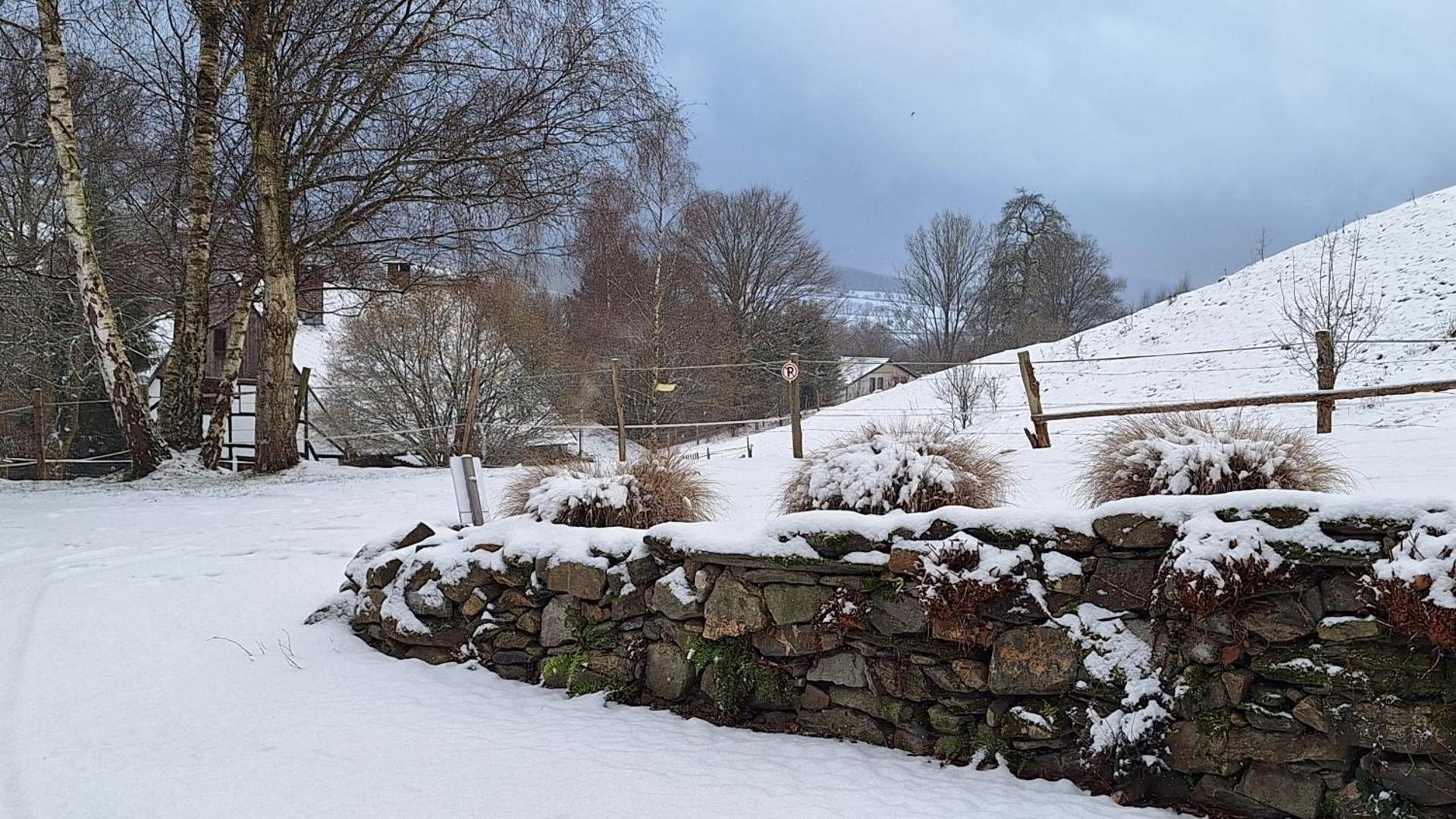 Le Clos du Cerf - Silence & nature