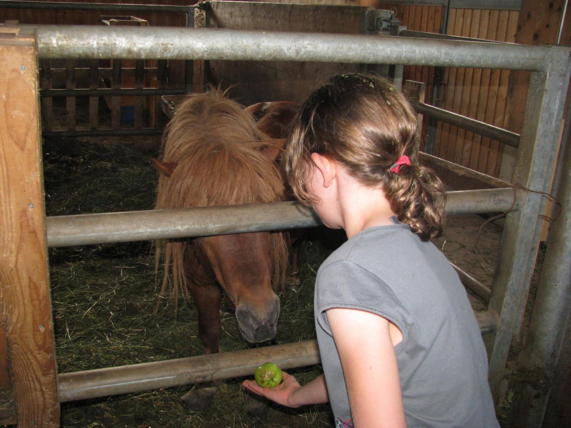 Ferienbauernhof Schneider