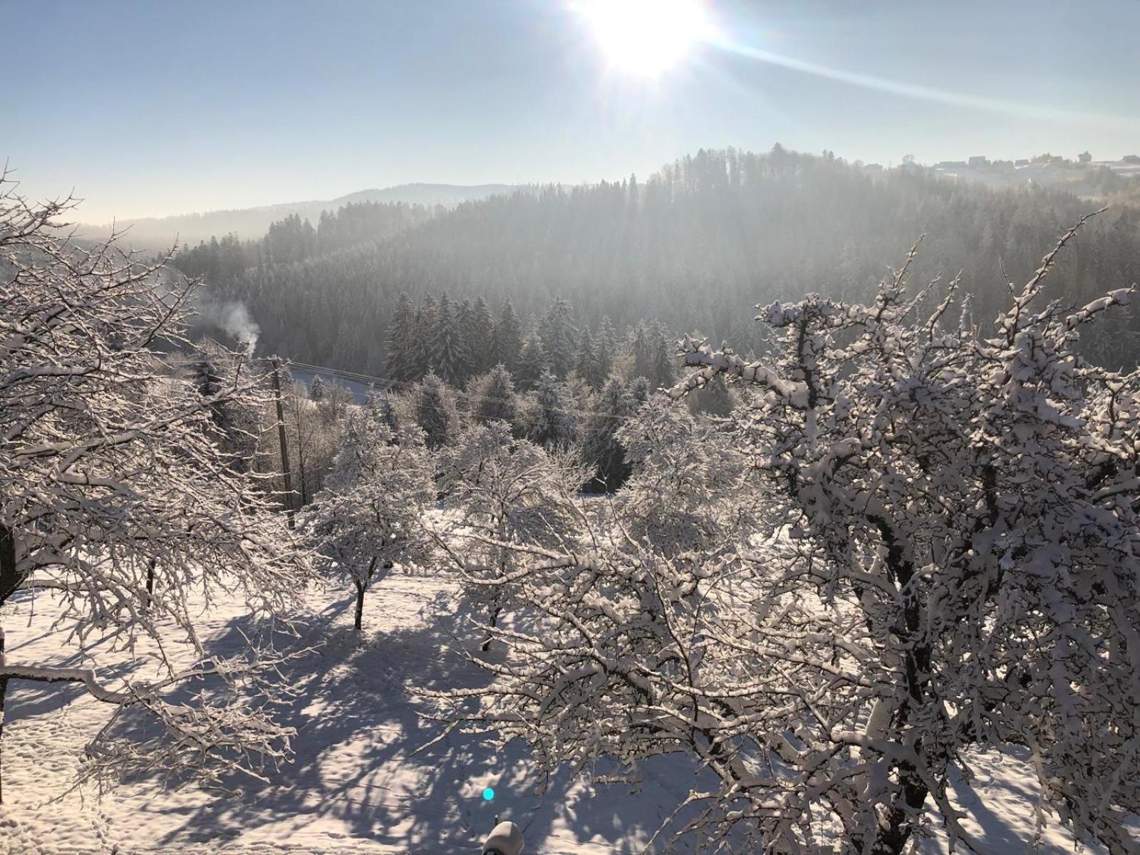 Dom w Sadzie Frydrychówka