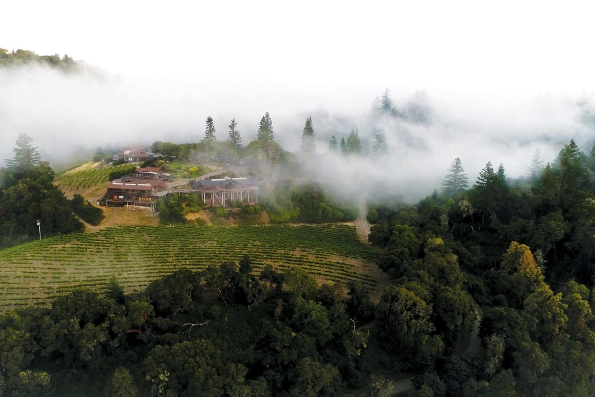 Entire Ocean View Home beaches hiking restaurants family activities