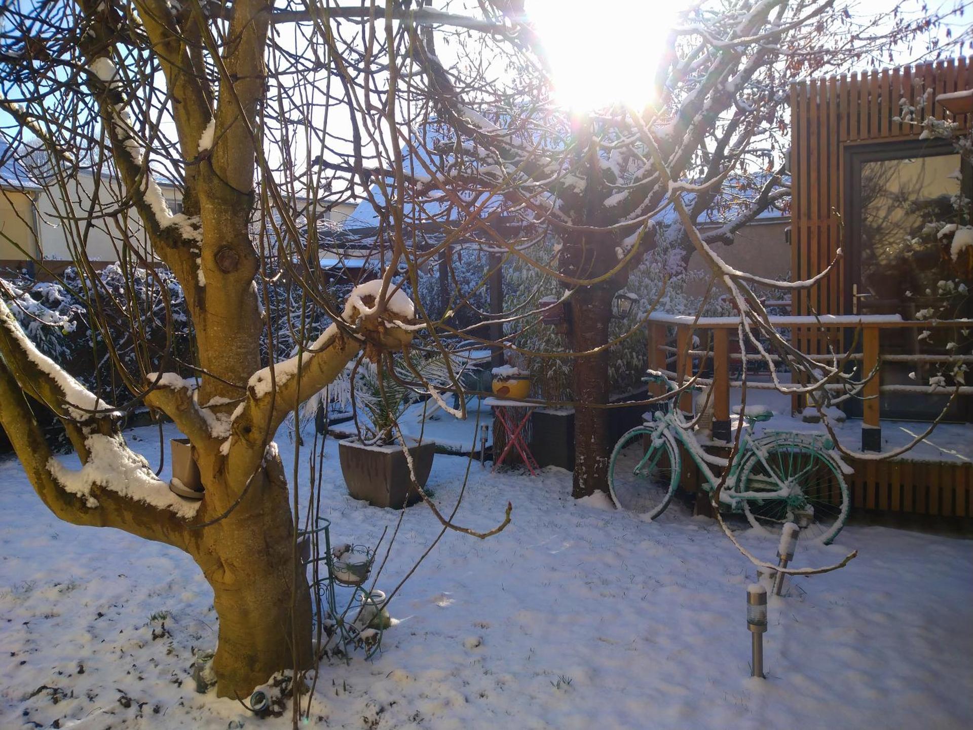 La Cabane du figuier à Rambouillet