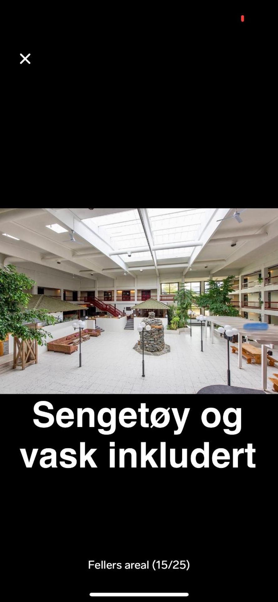 Bjorli Apartment with everything, 150m from ski lift