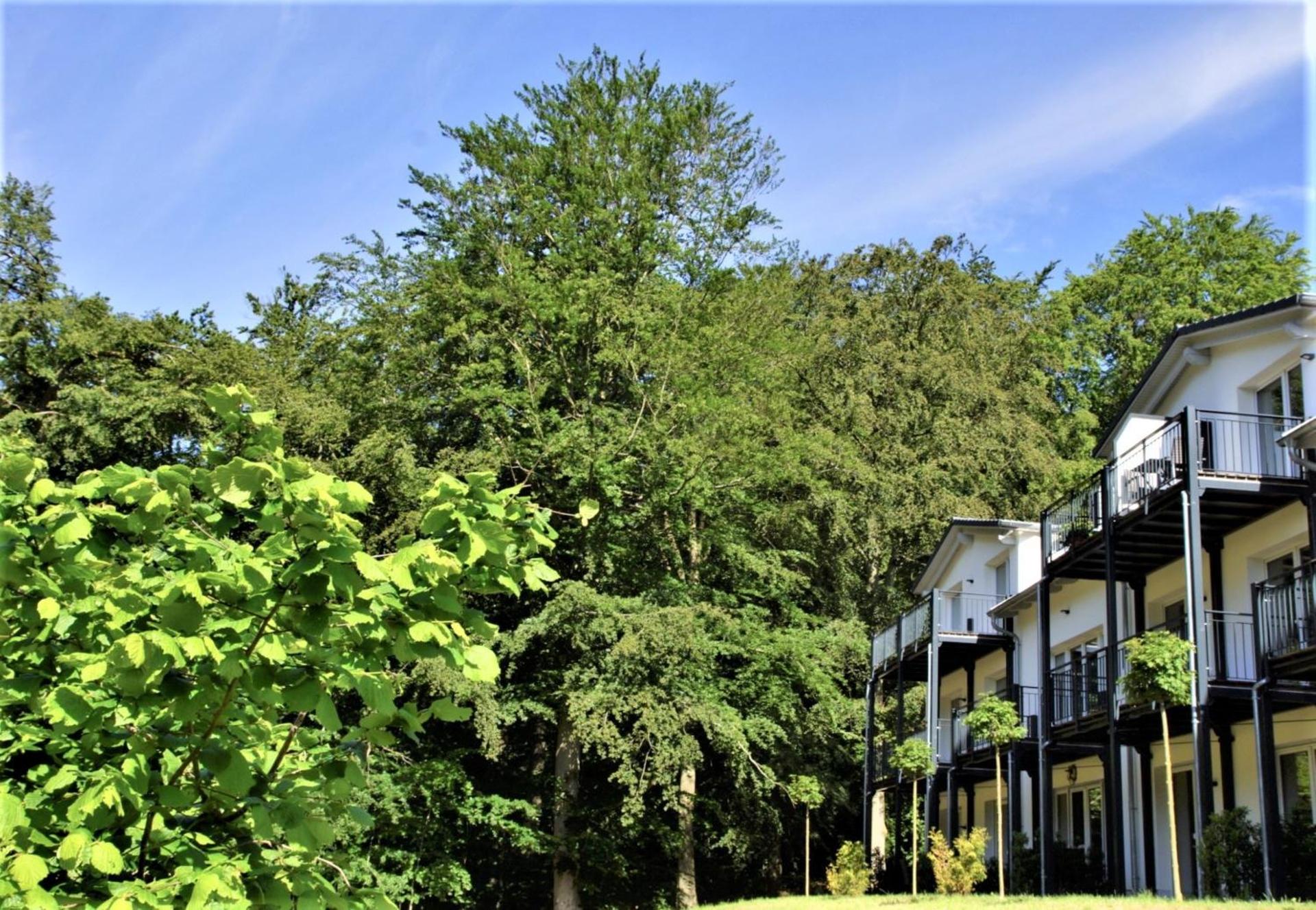 Haus Waldidyll, Strandklang