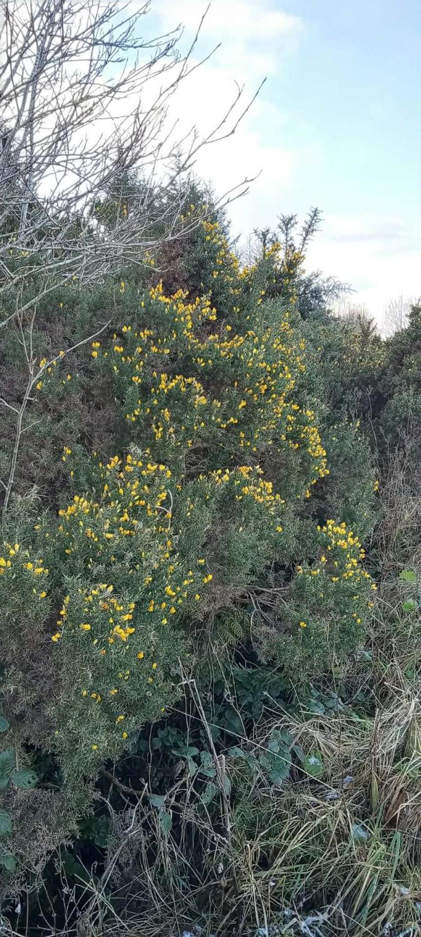 Glenedagh Oughter B&B