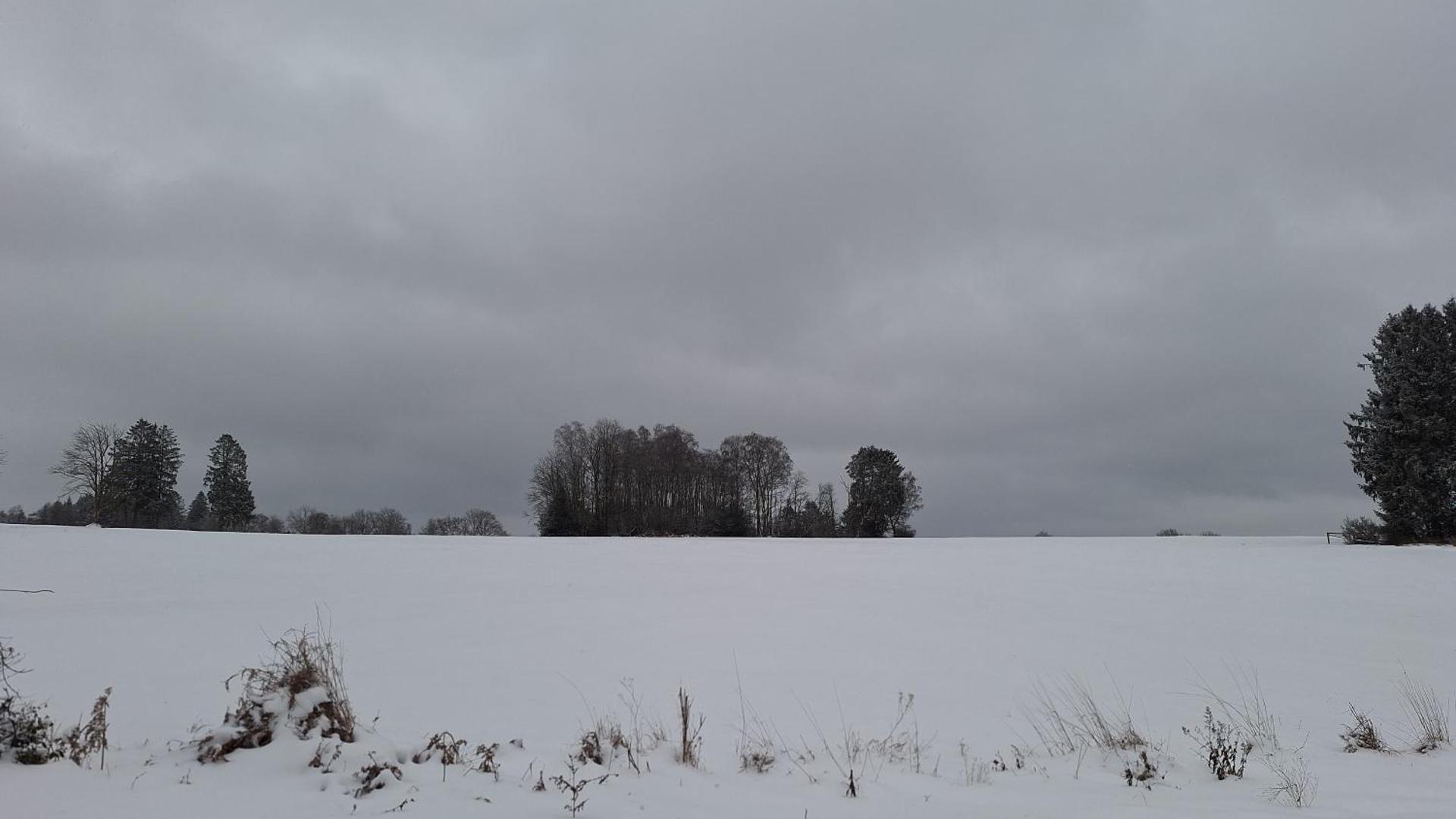 King Room with Garden View