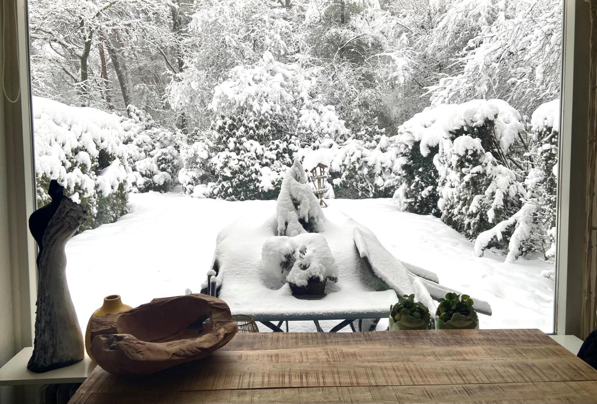 Natuurpark Hoefbos Boshuisje Veluwe