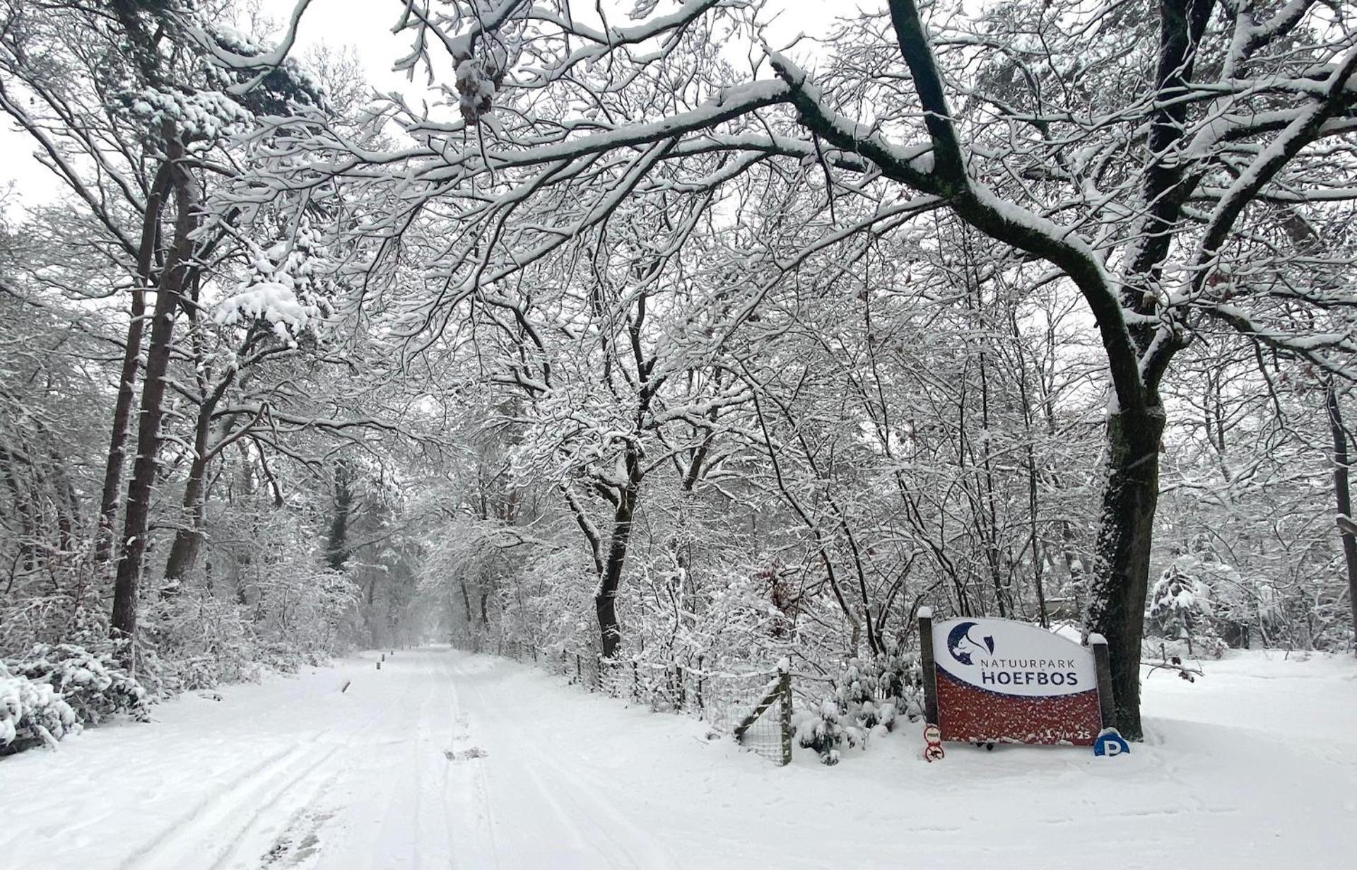 Natuurpark Hoefbos Boshuisje Veluwe