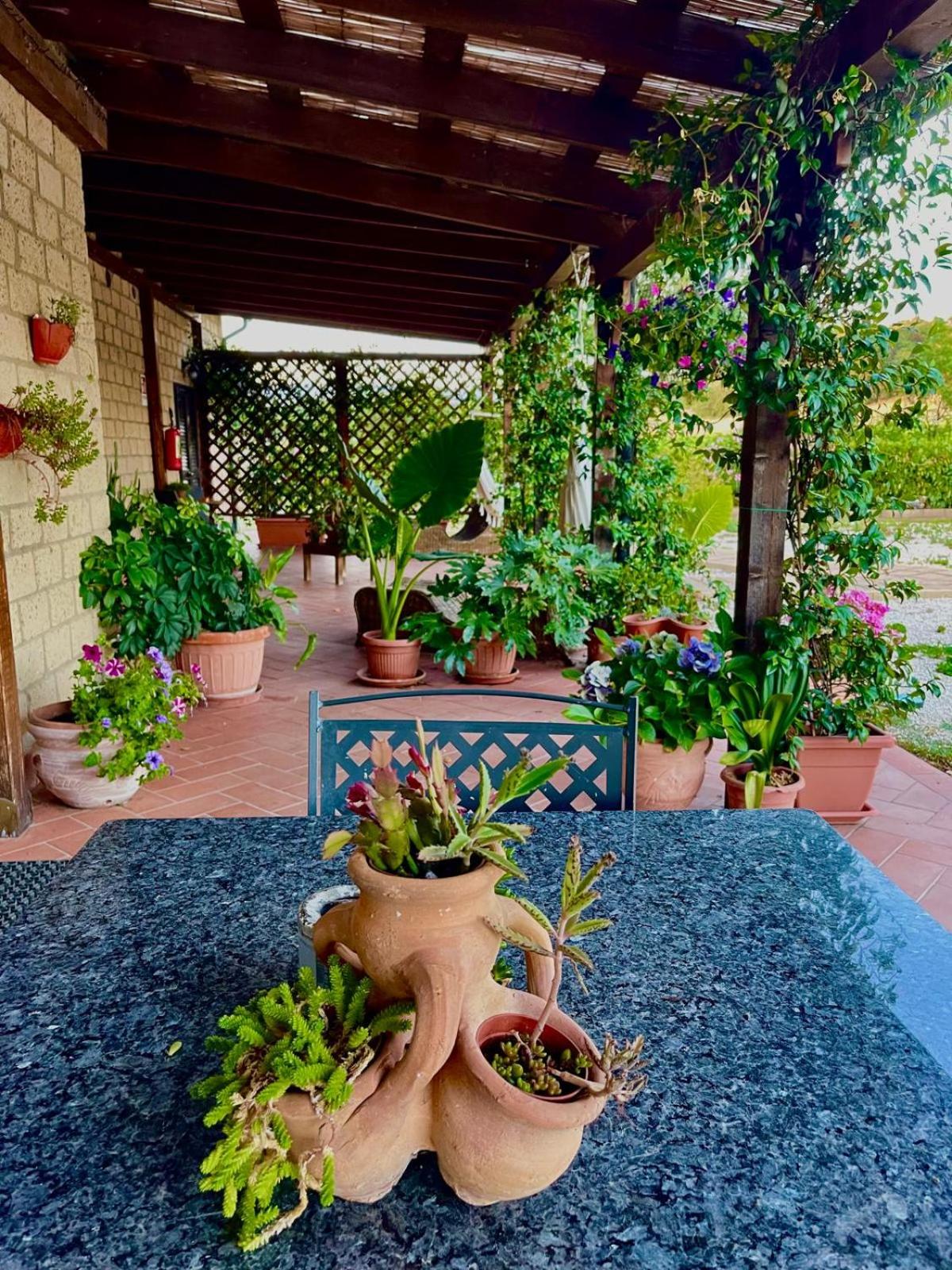 Agriturismo Antiglia