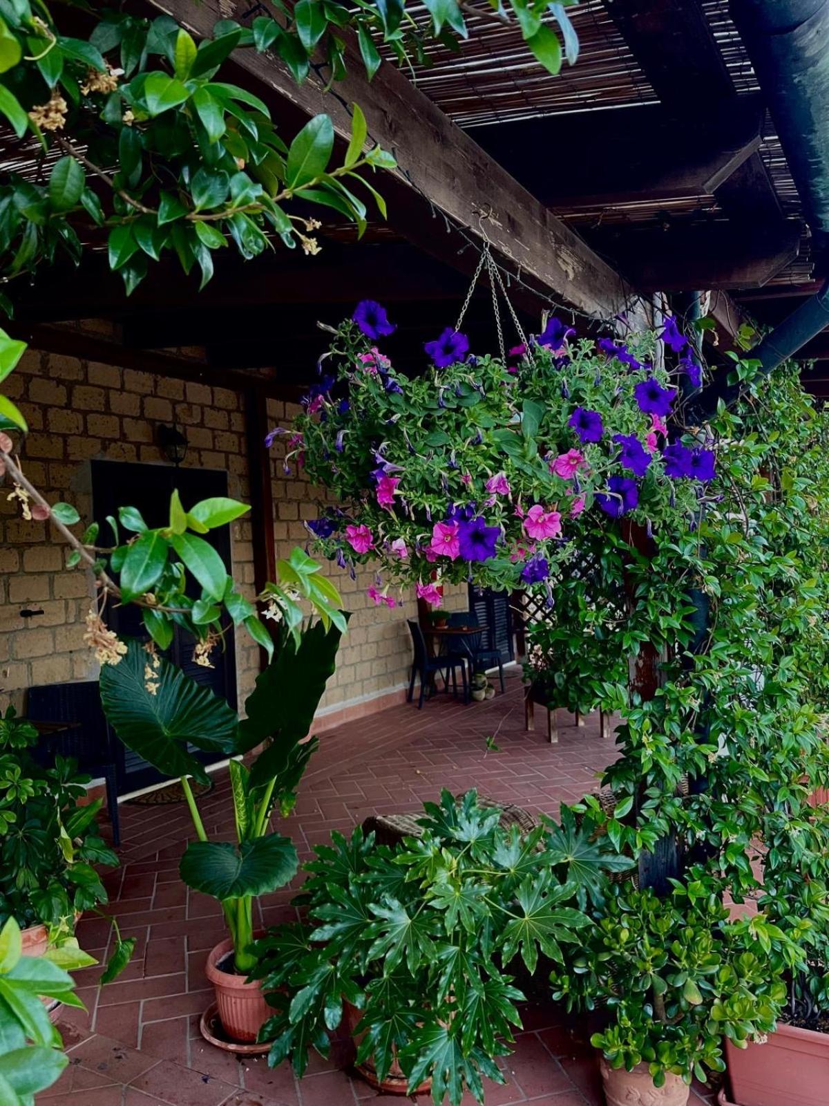 Agriturismo Antiglia