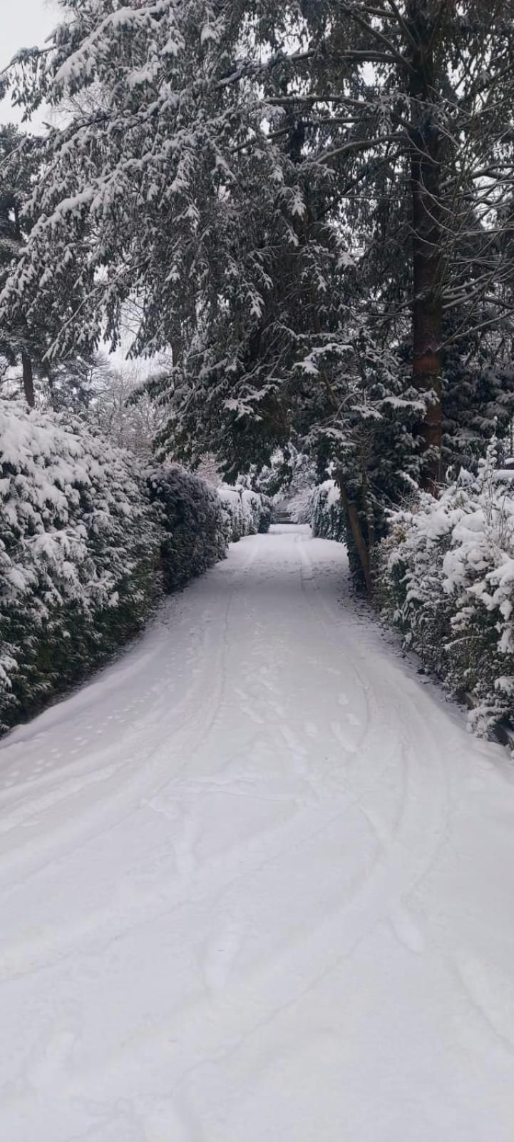 't Tjilpplekje, 4-persoons chalet met privé hottub