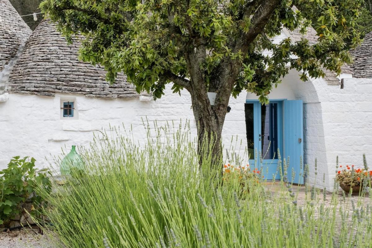 Charming Trullo with Private Pool and Spa - Trullo Amarcord