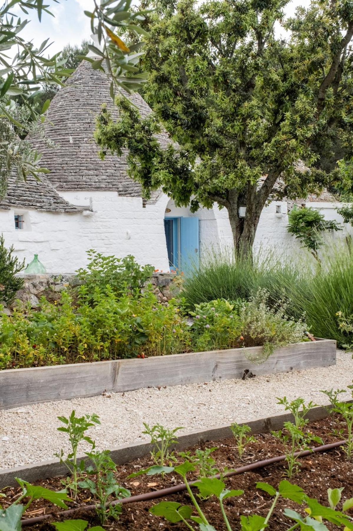 Charming Trullo with Private Pool and Spa - Trullo Amarcord