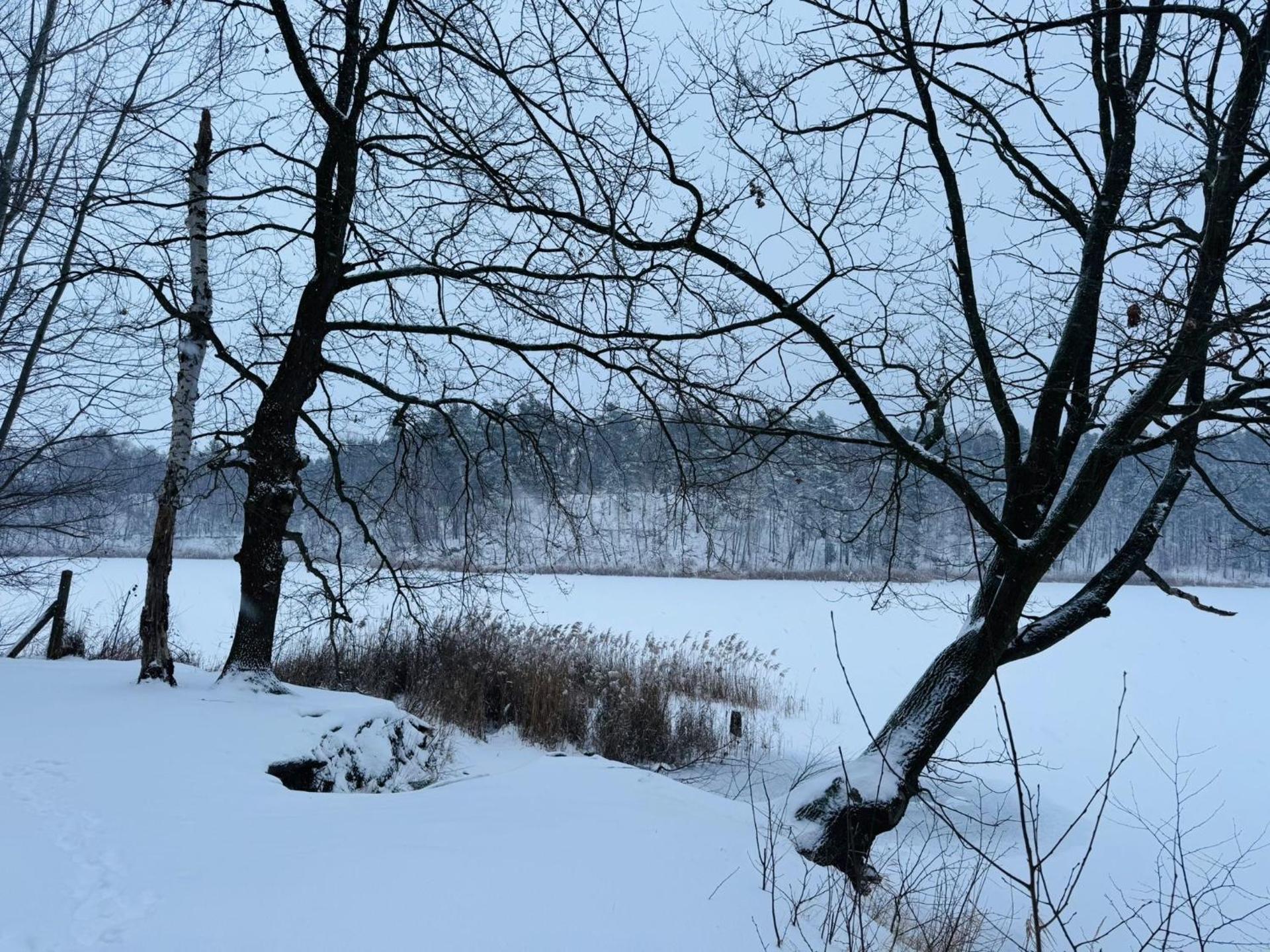 Relax Hütten & Spa Gröden