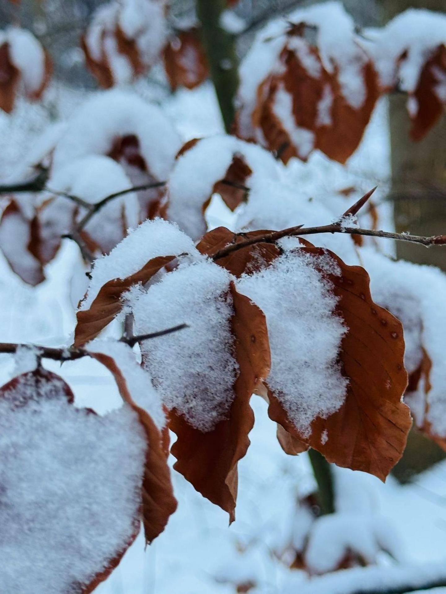 Relax Hütten & Spa Gröden