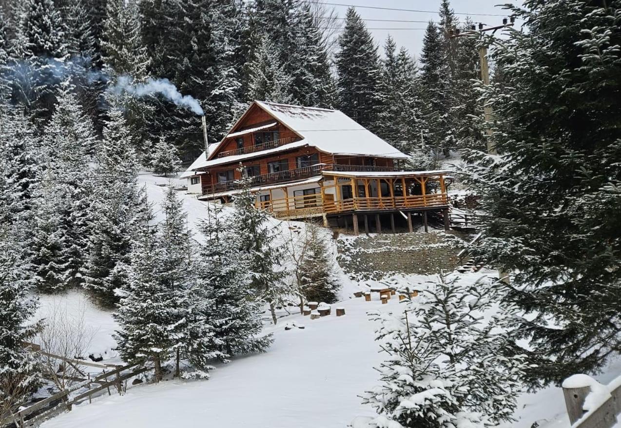 Cabana Cota 1000 Arieseni