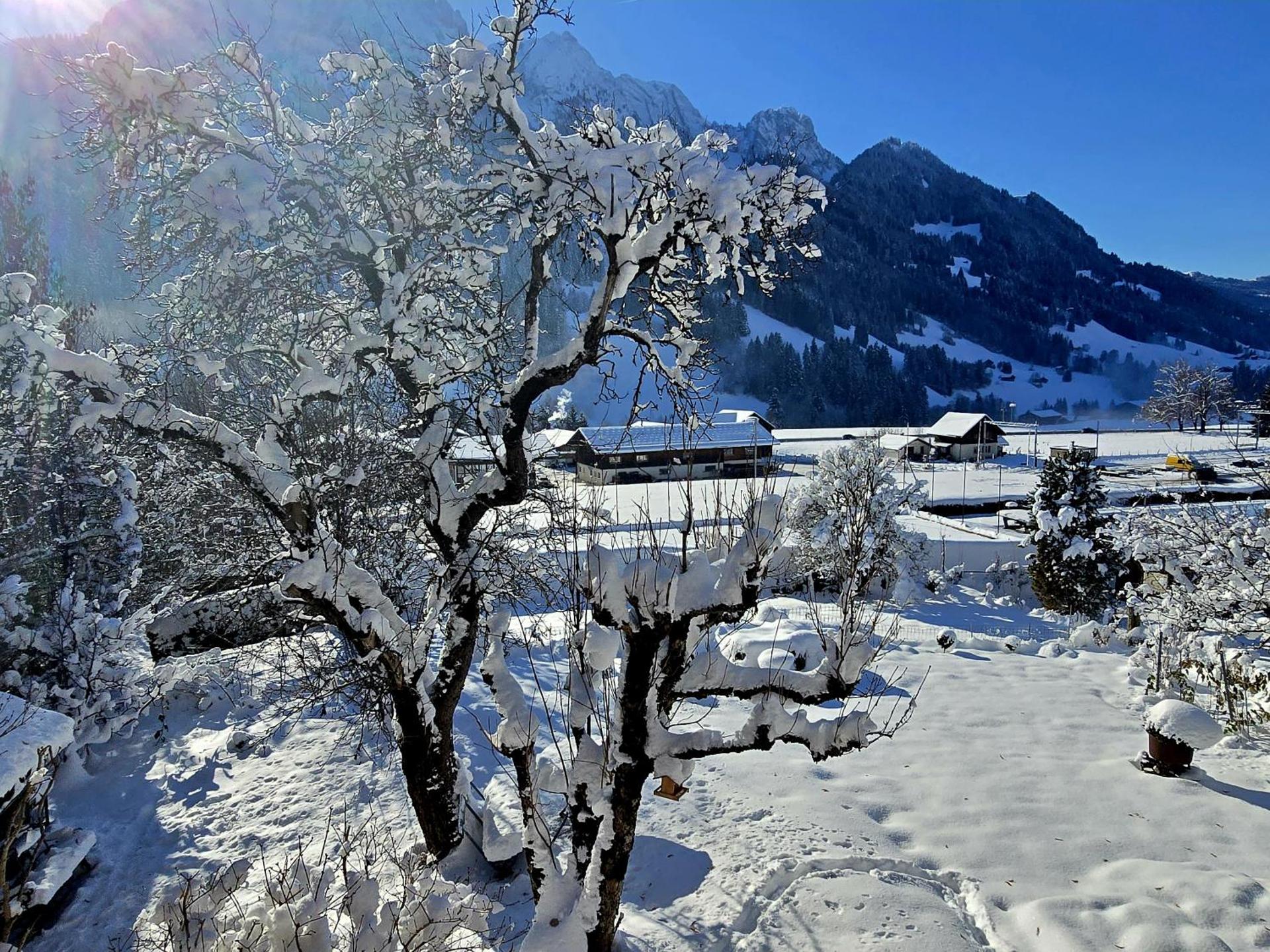 Nouveau à Rougemont - Gstaad Appartement dans Chalet 1830