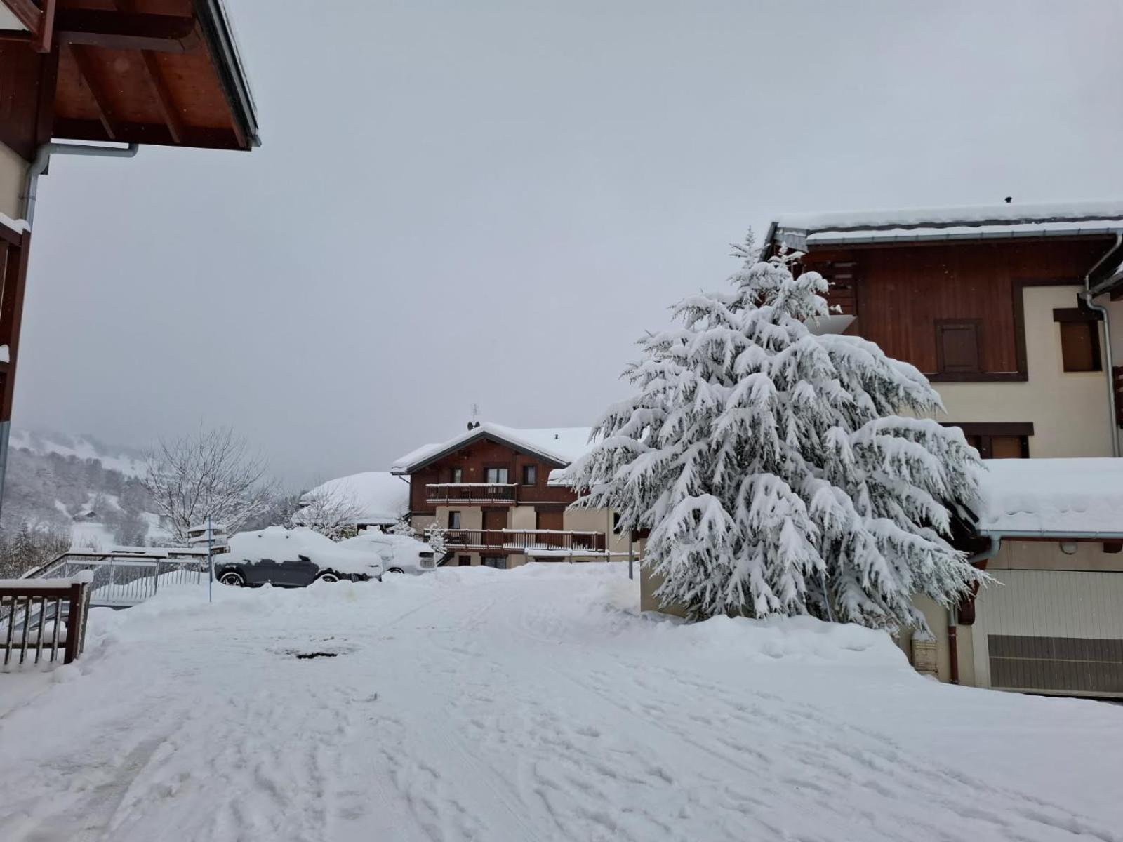 Chalets des Evettes- appartement vue montagne
