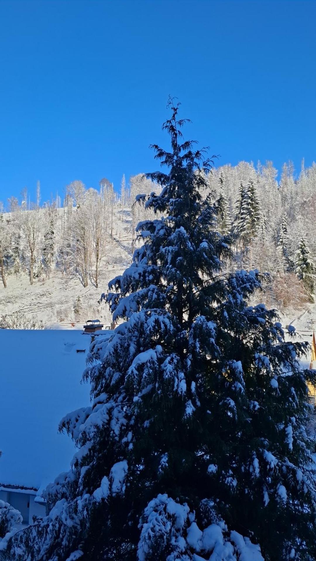 Monteur- und Ferienwohnung Waldrauschen