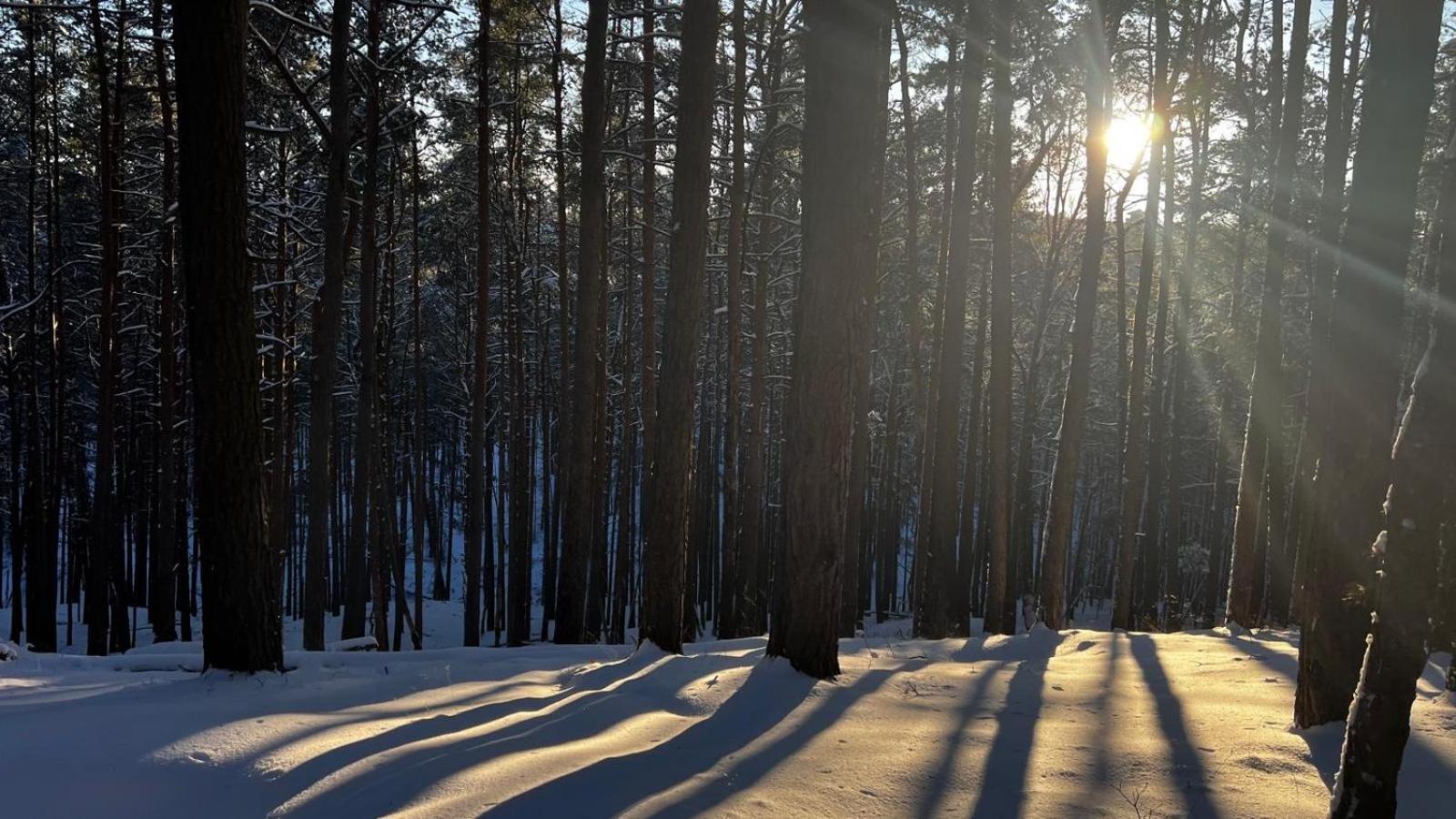 Relax Hütten & Spa Gröden