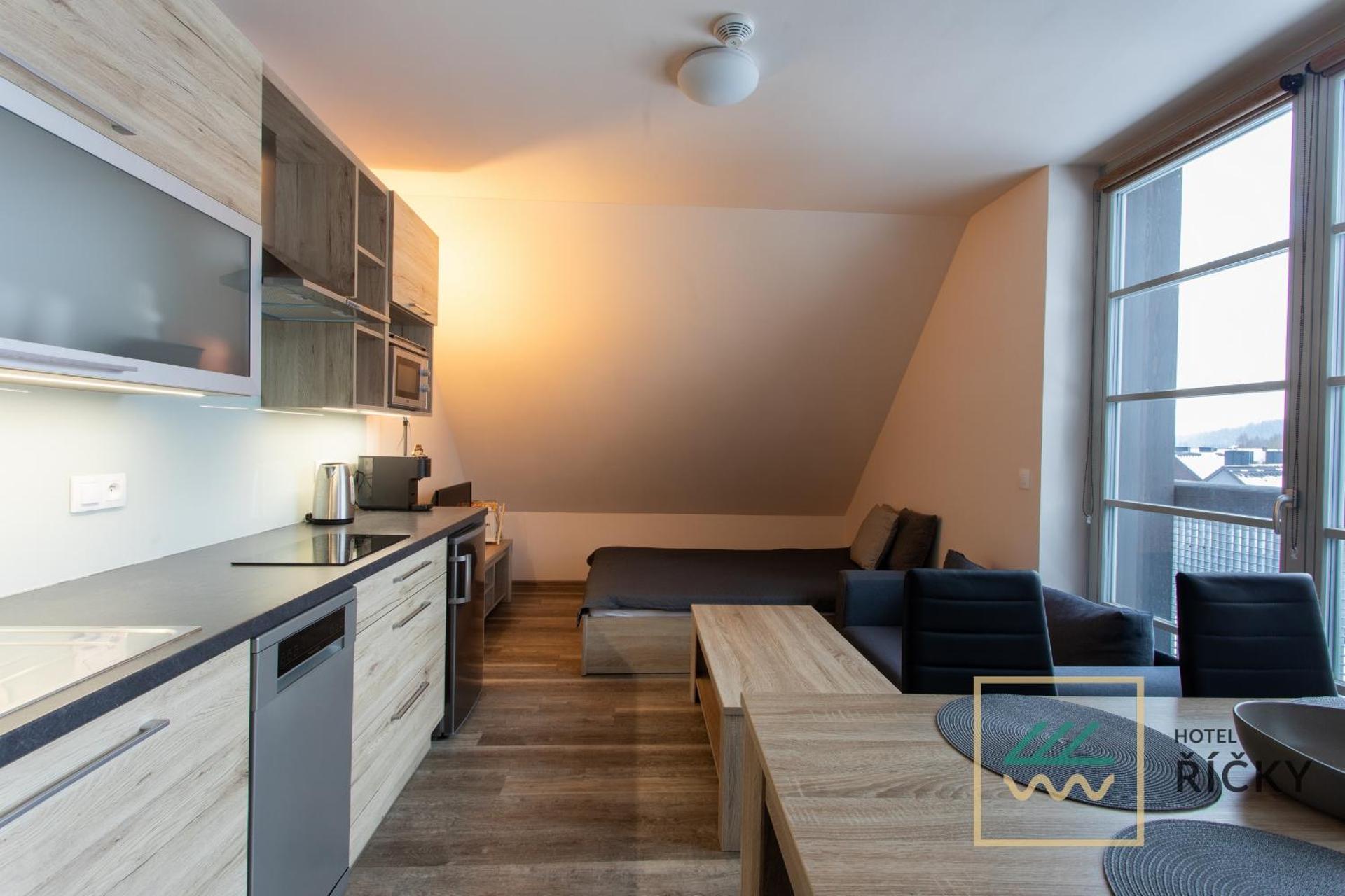 Apartmány pod Zakletým - Hotel Říčky