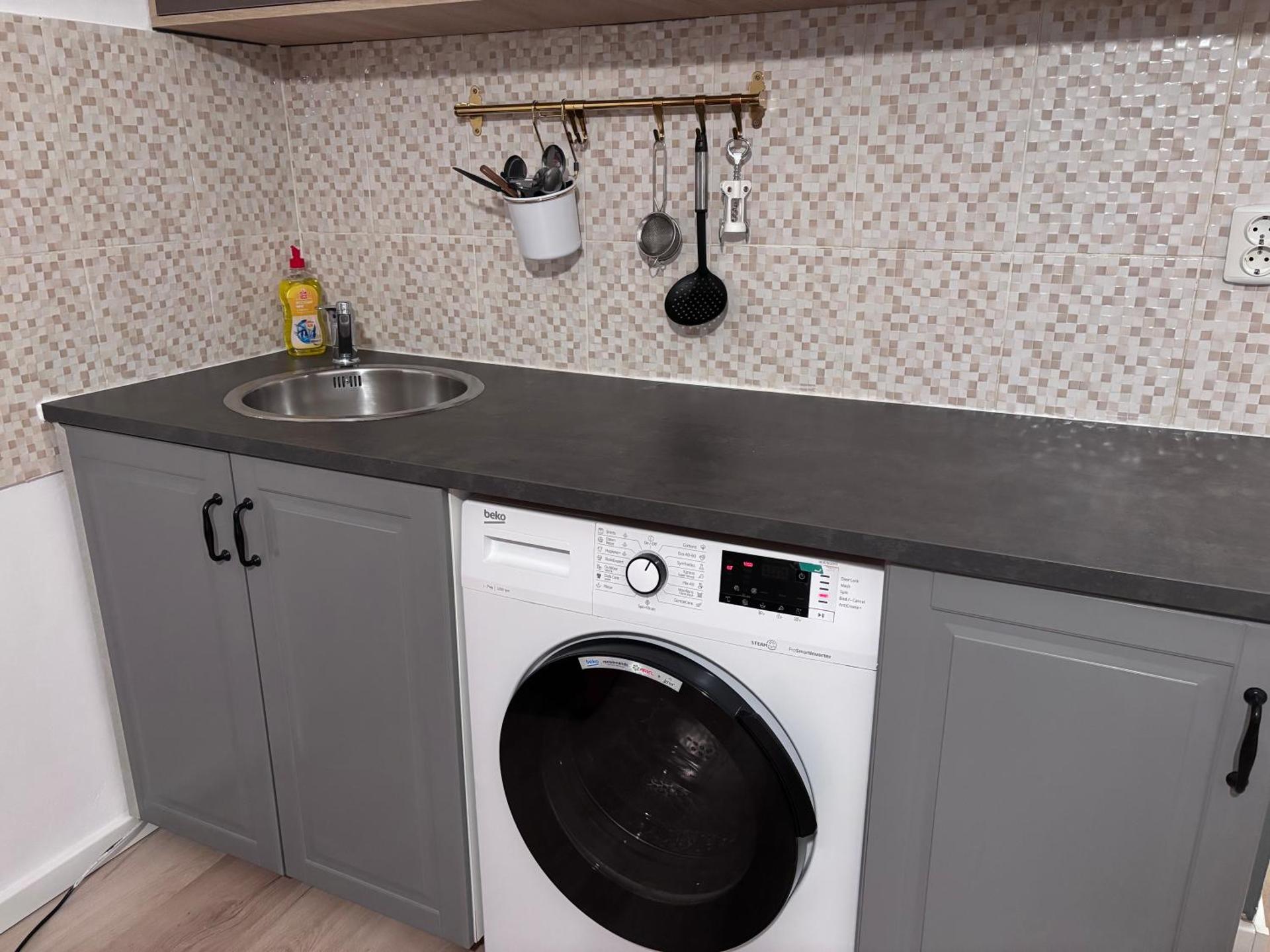 Lions Studio Dristor