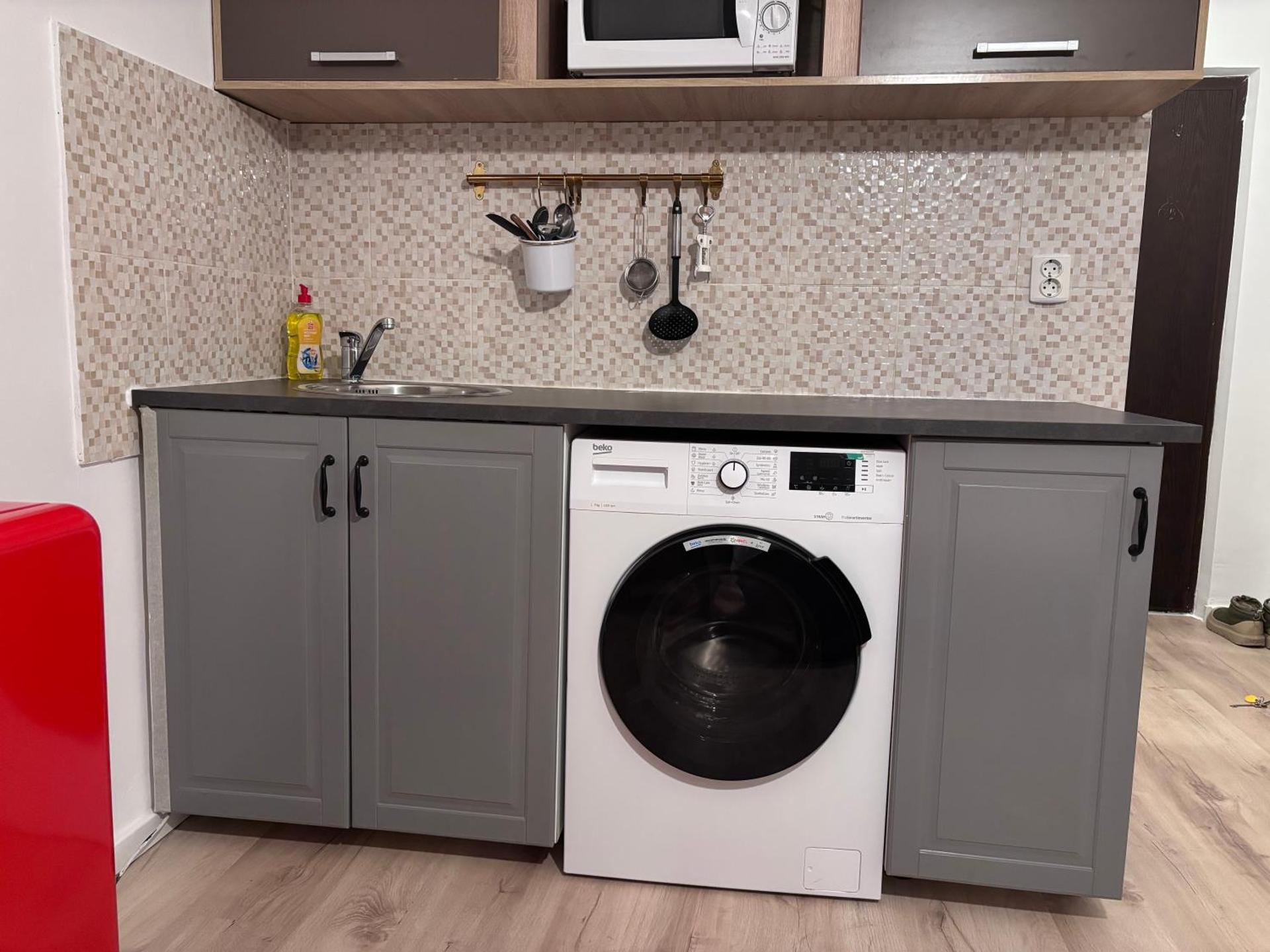 Lions Studio Dristor