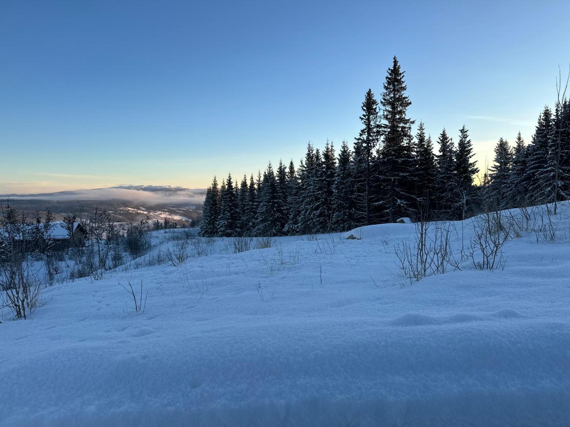 Perfect Christmas atmosphere! Beautiful Apartment at Skagahøgdi with Panoramic View